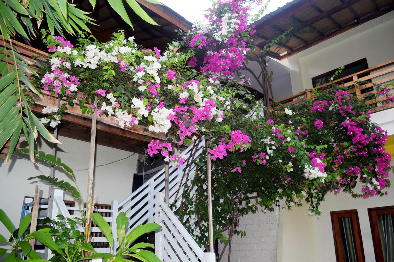 Panda Cottage Gili Trawangan Dış mekan fotoğraf